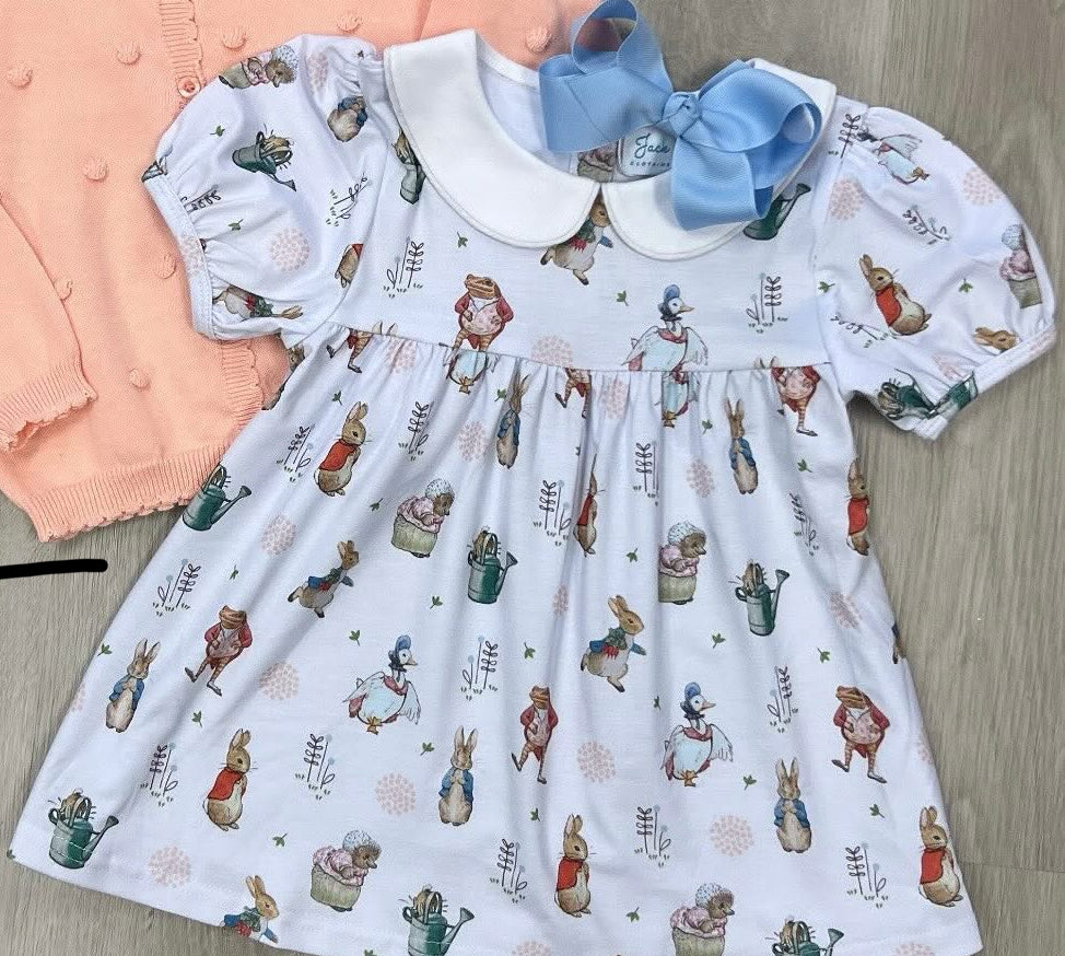 Peter Rabbit Dress