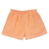 Orange Gingham Shorts
