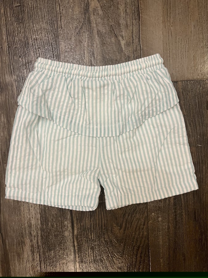 Colorblock boys Swim Trunks