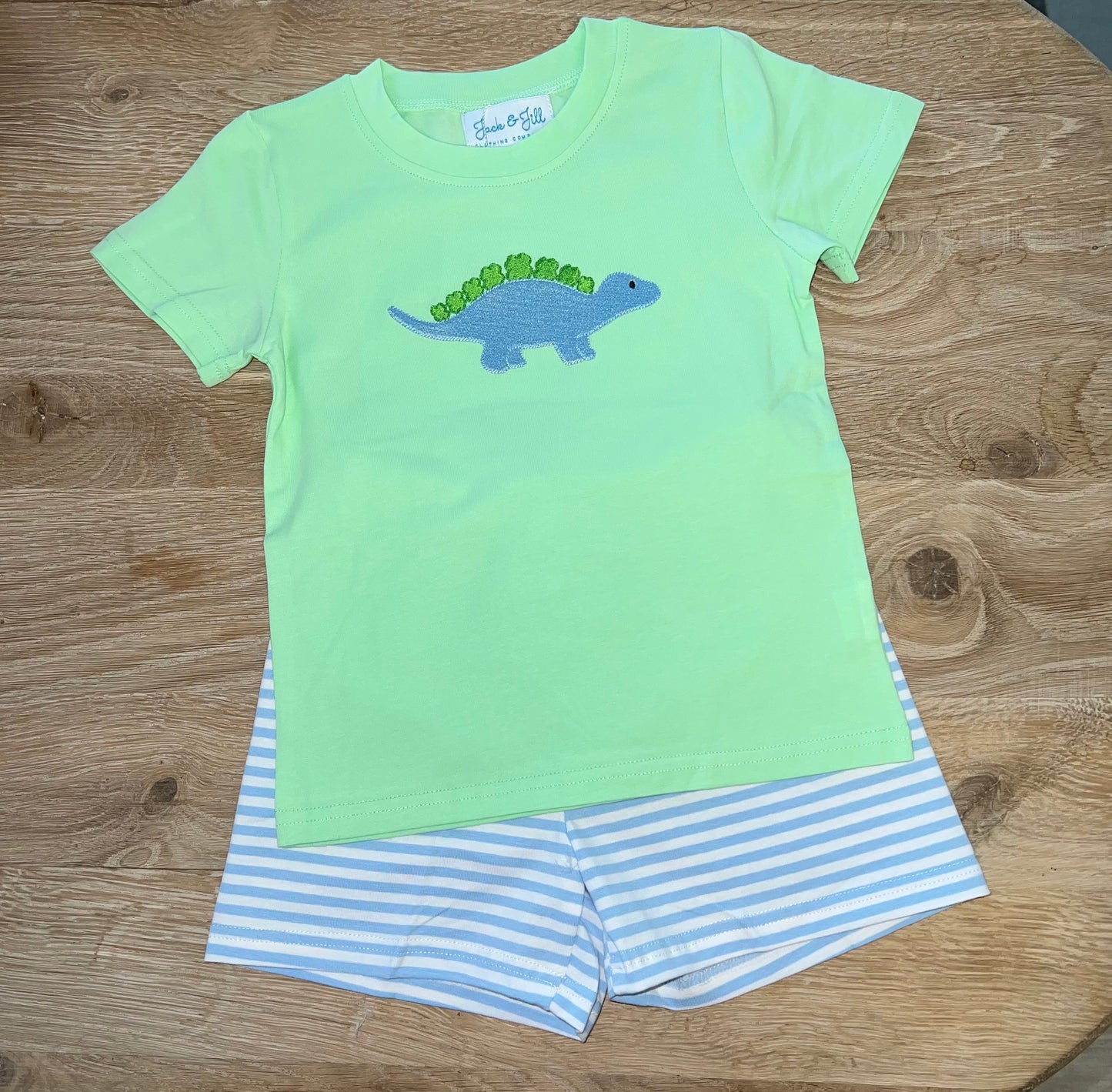 Boys Dinosaur Short Set