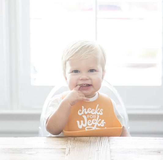 Cheeks for Weeks Wonder Bib